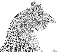 hen Coloring Pages To Print